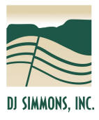 DJ-Simmons-Logo
