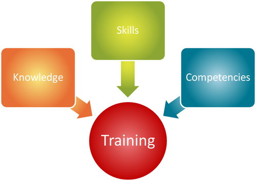 Building a Training Program for New Employees