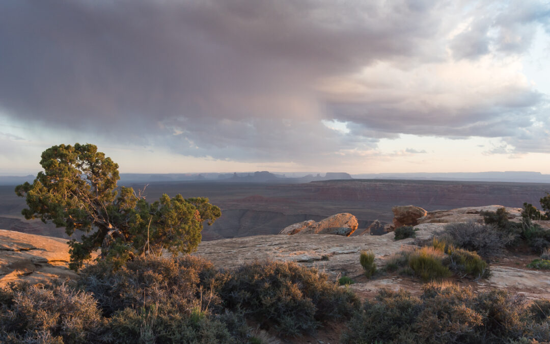 Muley Point, UT Sunset – 1