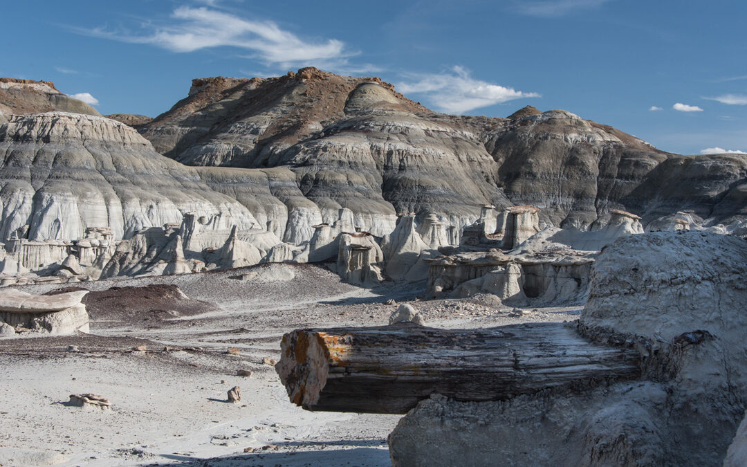 Petrified Log, Bisti Wildnerness Area, NM