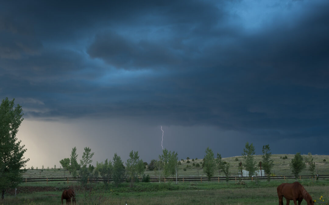 Horse Pasture and Lightning, Watrous, NM
